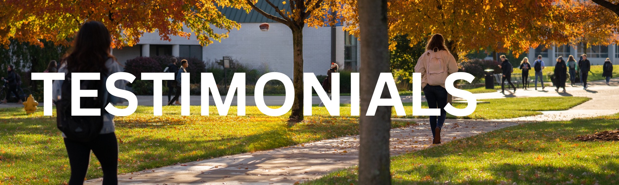 HEADING: Testimonials